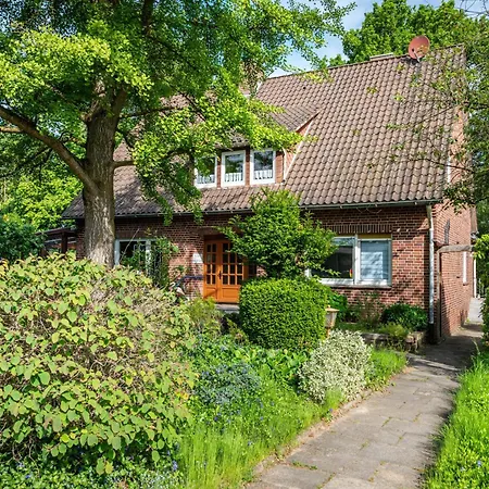 Zum Gingko Apartment *